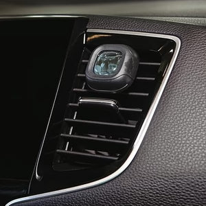 Little Trees - Vent Liquid Air Freshener